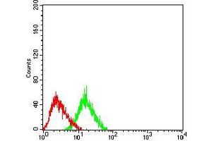 Flow cytometric analysis of Jurkat cells using CD134 mouse mAb (green) and negative control (red).