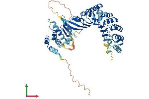 AlphaFold protein structure predicition of Human Recombinant PRAME Protein, UniprotID P78395