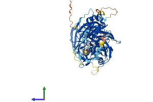 AlphaFold protein structure predicition of Human Recombinant WDR48 Protein, UniprotID Q8TAF3