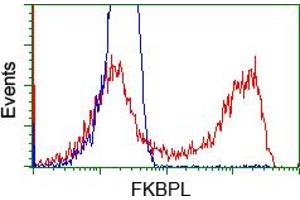 HEK293T cells transfected with either RC202153 overexpress plasmid (Red) or empty vector control plasmid (Blue) were immunostained by anti-FKBPL antibody (ABIN2453045), and then analyzed by flow cytometry. (FKBPL anticorps)