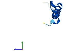 AlphaFold protein structure predicition of Human Recombinant TOMM7 Protein, UniprotID Q9P0U1