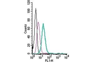 Cell surface detection of MERTK by direct flow cytometry in live intact mouse  microglia cells: + Rabbit IgG Isotype Control-FITC (ABIN7582044). (MERTK anticorps  (Extracellular) (FITC))