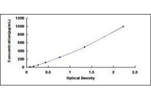 Typical standard curve (SERPINA12 Kit ELISA)