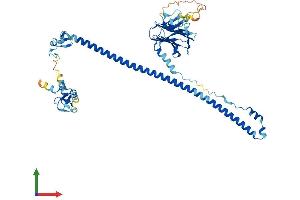 AlphaFold protein structure predicition of Human Recombinant TRIM22 Protein, UniprotID Q8IYM9