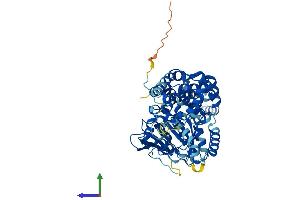 AlphaFold protein structure predicition of Human Recombinant EHD1 Protein, UniprotID Q9H4M9