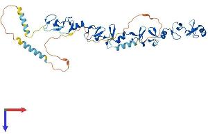 AlphaFold protein structure predicition of Human Recombinant LPXN Protein, UniprotID O60711