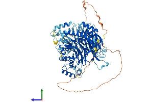 AlphaFold protein structure predicition of Mouse Recombinant Gtf3c4 Protein, UniprotID Q8BMQ2