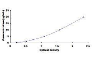 Myosin Heavy Chain 6, Cardiac Muscle, alpha (MYH6) ELISA Kit