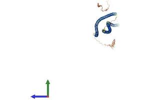 AlphaFold protein structure predicition of Mouse Recombinant Krt80 Protein, UniprotID Q0VBK2
