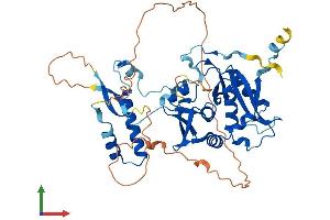 AlphaFold protein structure predicition of Human Recombinant TSEN2 Protein, UniprotID Q8NCE0