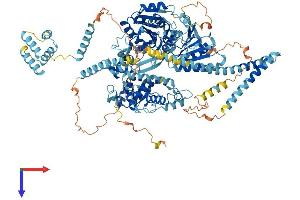 AlphaFold protein structure predicition of Human Recombinant DHX16 Protein, UniprotID O60231