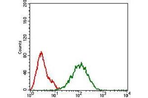 Flow cytometric analysis of Hela cells using IL3RA mouse mAb (green) and negative control (red). (IL3RA anticorps  (AA 200-305))