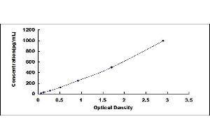 Typical standard curve
