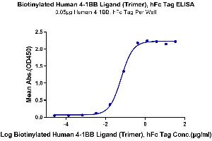 Immobilized Human 4-1BB, hFc Tag at 0. (TNFSF9 Protein (Trimer) (Fc Tag,Biotin))