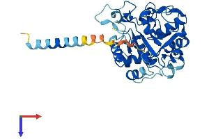 AlphaFold protein structure predicition of Human Recombinant ST3GAL4 Protein, UniprotID Q11206