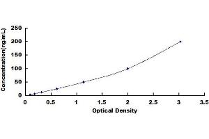 Tenascin C (TNC) ELISA Kit