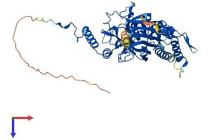 AlphaFold protein structure predicition of Mouse Recombinant Mrps30 Protein, UniprotID Q9D0G0