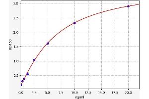 Typical standard curve (SOX2 Kit ELISA)