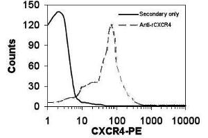 Image no. 1 for anti-Chemokine (C-X-C Motif) Receptor 4 (CXCR4) antibody (ABIN110595) (CXCR4 anticorps)