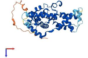 AlphaFold protein structure predicition of Mouse Recombinant Ccnh Protein, UniprotID Q61458