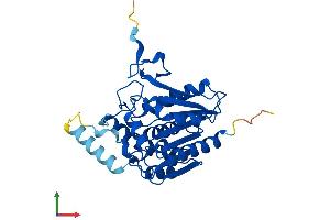 AlphaFold protein structure predicition of Human Recombinant MGLL Protein, UniprotID Q99685