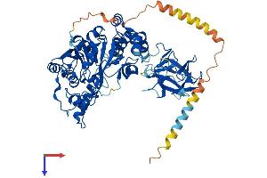AlphaFold protein structure predicition of Mouse Recombinant Galnt6 Protein, UniprotID Q8C7U7
