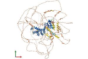 AlphaFold protein structure predicition of Mouse Recombinant Plekhg2 Protein, UniprotID Q6KAU7