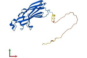 AlphaFold protein structure predicition of Mouse Recombinant Asf1b Protein, UniprotID Q9DAP7