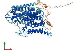 AlphaFold protein structure predicition of Human Recombinant SLC5A7 Protein, UniprotID Q9GZV3