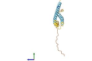 AlphaFold protein structure predicition of Mouse Recombinant Ifitm3 Protein, UniprotID Q9CQW9
