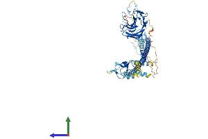 AlphaFold protein structure predicition of Mouse Recombinant Trim26 Protein, UniprotID Q99PN3