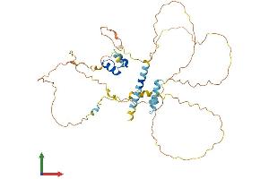AlphaFold protein structure predicition of Human Recombinant MAMSTR Protein, UniprotID Q6ZN01