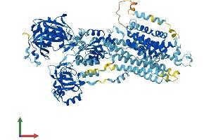 AlphaFold protein structure predicition of Human Recombinant ATP2A2 Protein, UniprotID P16615