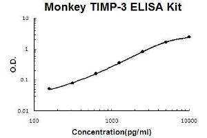 Monkey Primate TIMP-3 PicoKine ELISA Kit standard curve (TIMP3 Kit ELISA)