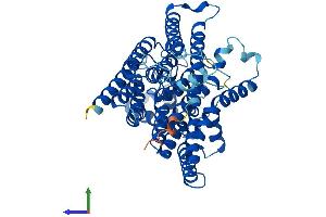AlphaFold protein structure predicition of Human Recombinant ALG6 Protein, UniprotID Q9Y672