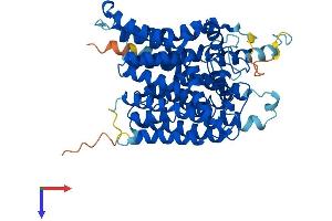 AlphaFold protein structure predicition of Mouse Recombinant Alg8 Protein, UniprotID Q6P8H8