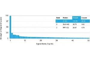 Analysis of Protein Array containing more than 19,000 full-length human proteins using Chromogranin A (CHGA) Mouse Monoclonal Antibody (CHGA/413) Z- and S- Score: The Z-score represents the strength of a signal that a monoclonal antibody (MAb) (in combination with a fluorescently-tagged anti-IgG secondary antibody) produces when binding to a particular protein on the HuProtTM array.