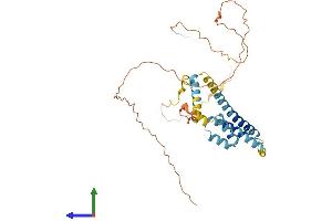AlphaFold protein structure predicition of Human Recombinant NDFIP2 Protein, UniprotID Q9NV92
