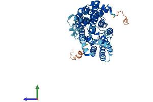 AlphaFold protein structure predicition of Mouse Recombinant Slc2a4 Protein, UniprotID P14142