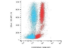 Flow cytometry detection of CD222 in human peripheral blood with anti-CD222 (MEM-240) purified, GAM-APC. (IGF2R anticorps)