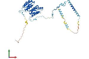 AlphaFold protein structure predicition of Mouse Recombinant Krr1 Protein, UniprotID Q8BGA5