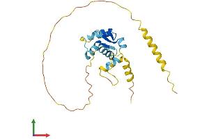 AlphaFold protein structure predicition of Mouse Recombinant Mageh1 Protein, UniprotID Q9NWG9