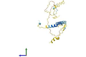 AlphaFold protein structure predicition of Mouse Recombinant Tp53inp2 Protein, UniprotID Q8CFU8