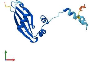 AlphaFold protein structure predicition of Human Recombinant RPS24 Protein, UniprotID P62847