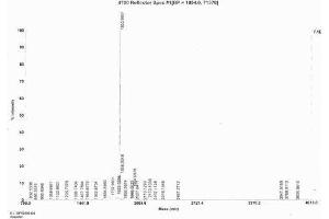 Image no. 3 for Islet Amyloid Polypeptide (IAPP) peptide (BSA) (ABIN5665982) (Islet Amyloid Polypeptide (IAPP) peptide (BSA))