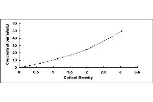 Typical standard curve (DNAJB11 Kit ELISA)
