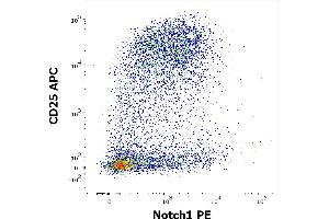 Flow cytometry multicolor surface staining pattern of human PHA stimulated CD3 positive lymphocytes using anti-human CD25 (MEM-181) APC antibody (10 μL reagent / 100 μL of sample) and intracellular staining of human lymphocytes using anti-Notch1 (mN1A) PE antibody (concentration in sample 3 μg/mL).