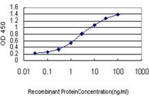 Detection limit for recombinant GST tagged GMNN is approximately 0.