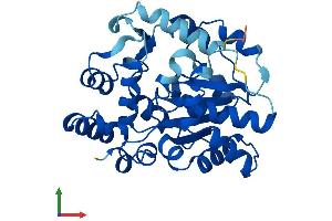 AlphaFold protein structure predicition of Mouse Recombinant Sult6b1 Protein, UniprotID P0CC03