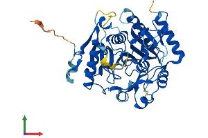 AlphaFold protein structure predicition of Human Recombinant GDPGP1 Protein, UniprotID Q6ZNW5